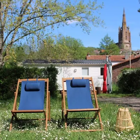 Lavande